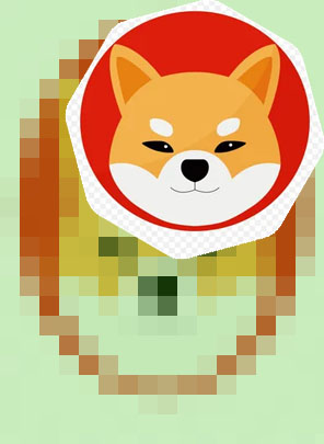 Crypto shiba inu coin